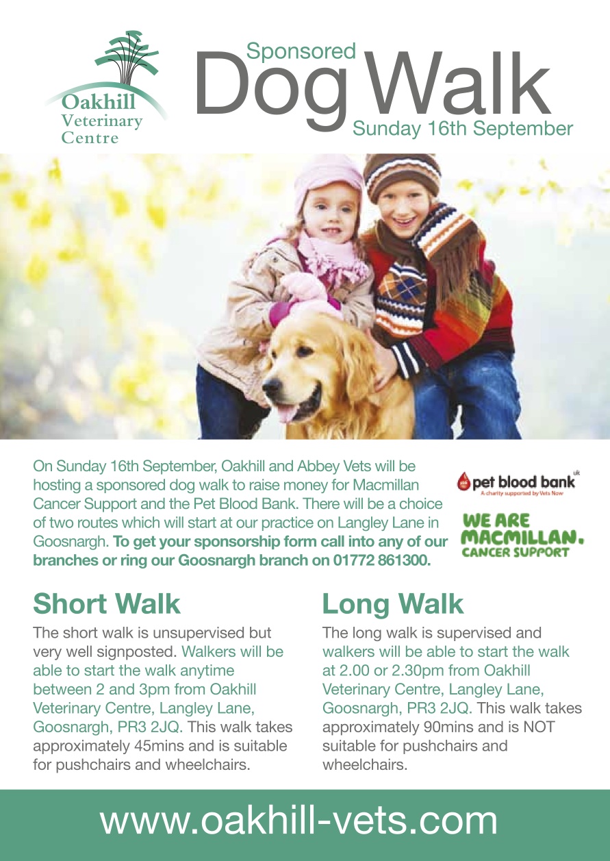 Oakhill Charity Dog Walk Leaflet BlogBlog