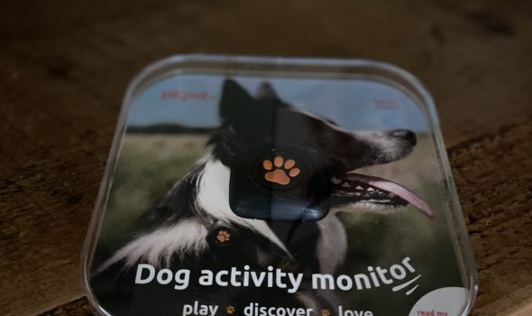 pitpat dog activity monitor